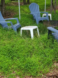 Tall grass by fire pit