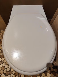 Macchie di sporco sul copri asse del WC