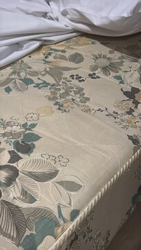 La cama manchada, vieja, incómoda y con resorte de fuera