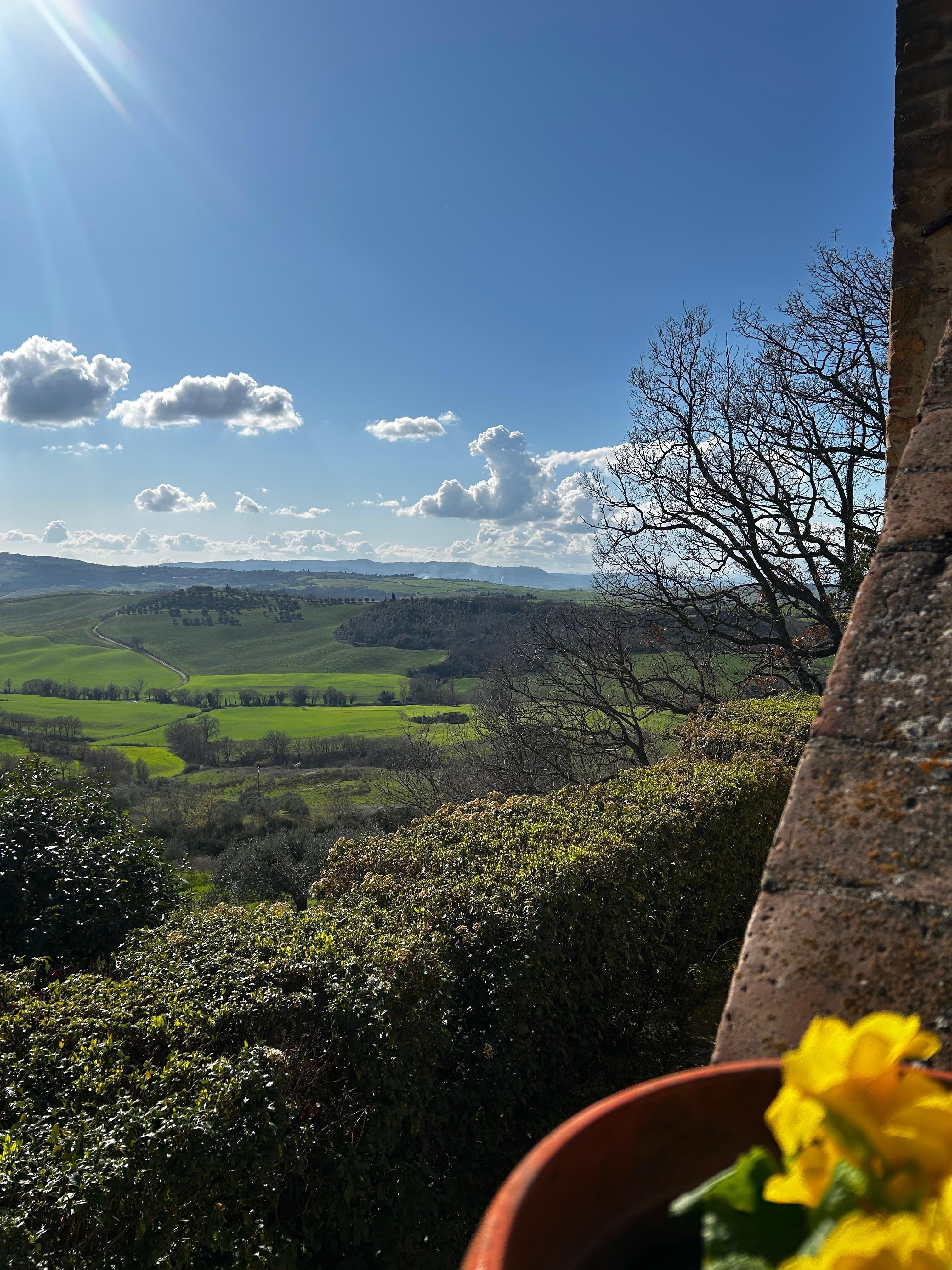 View from the bottom of the steps to the house.