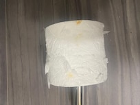 Poop on the toilet paper from a previous guest.