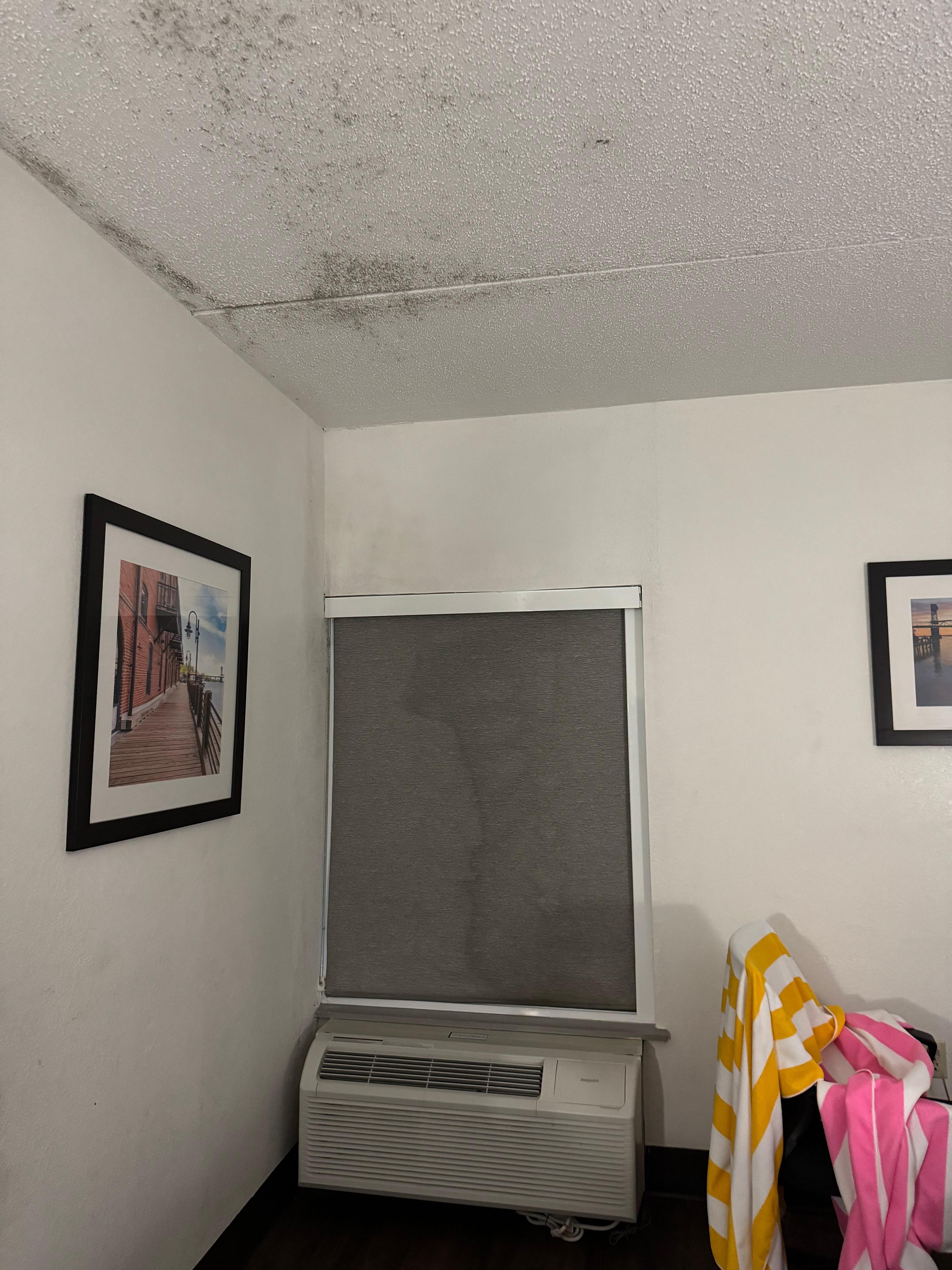 Mold