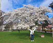 Sigmund Freud park utenfor hotellet