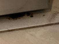 Dried
Food sticked underneat stove
