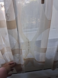 The sheer curtains in the room