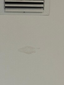 Water spot on ceiling