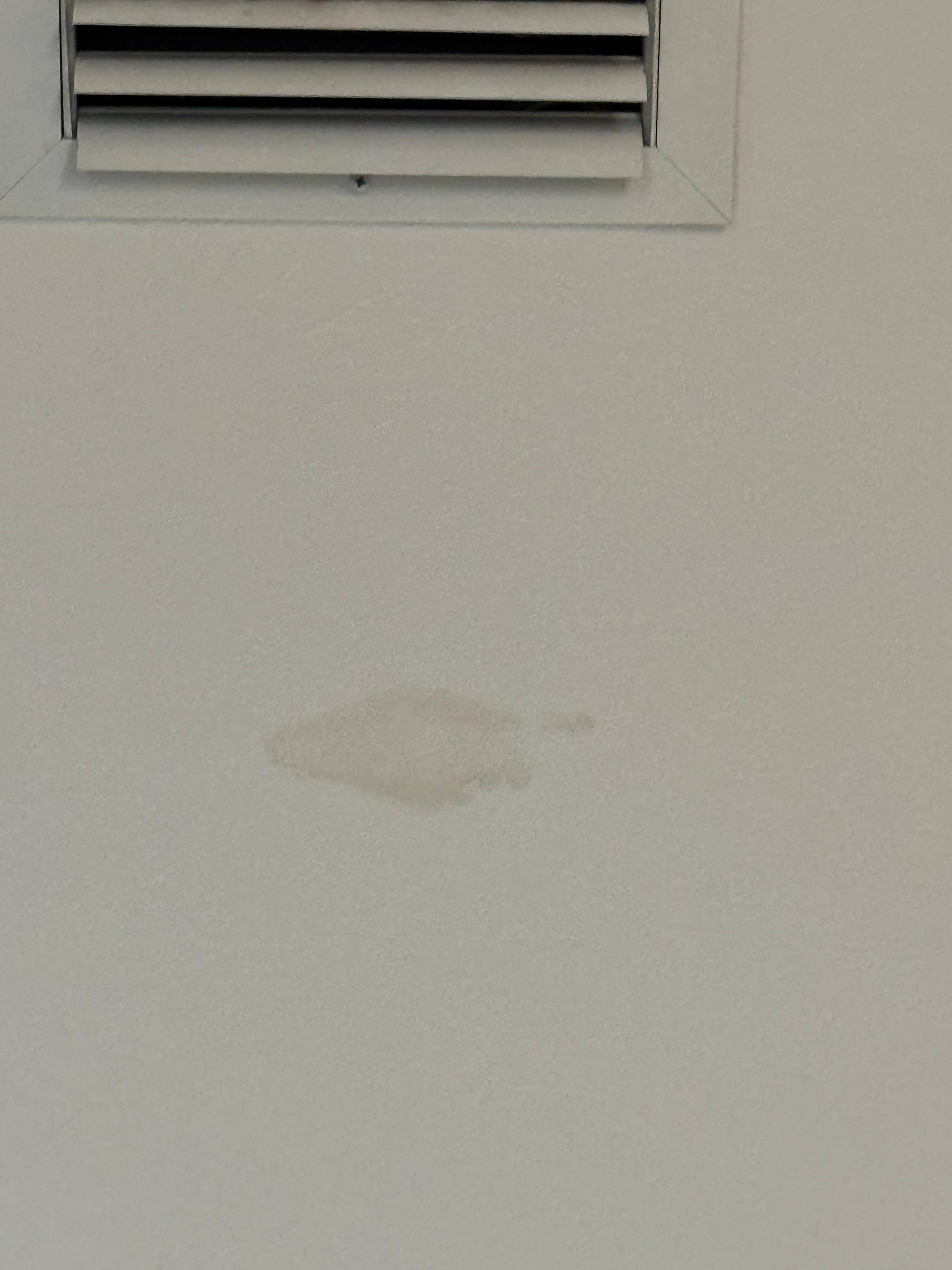 Water spot on ceiling