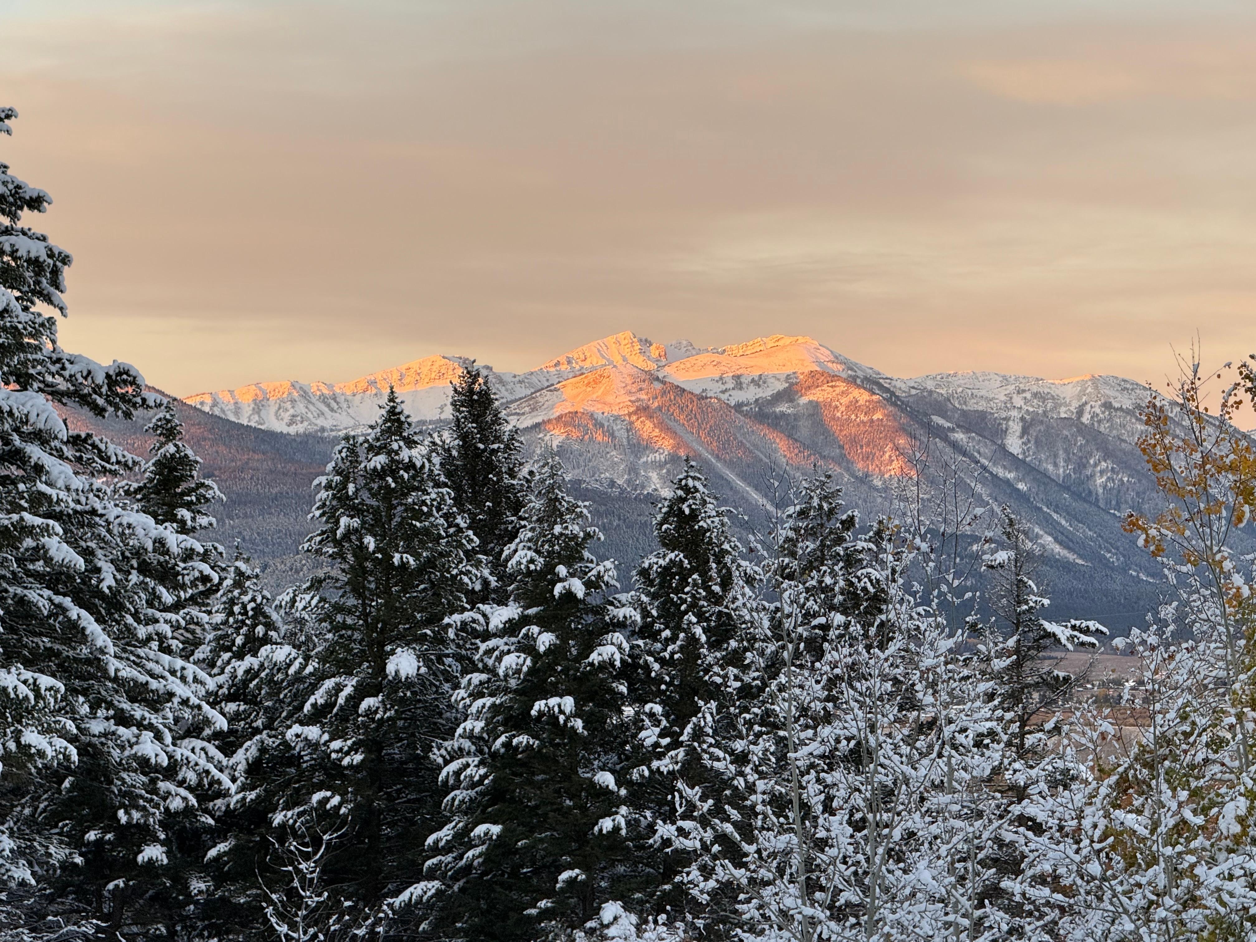 View from back porch
