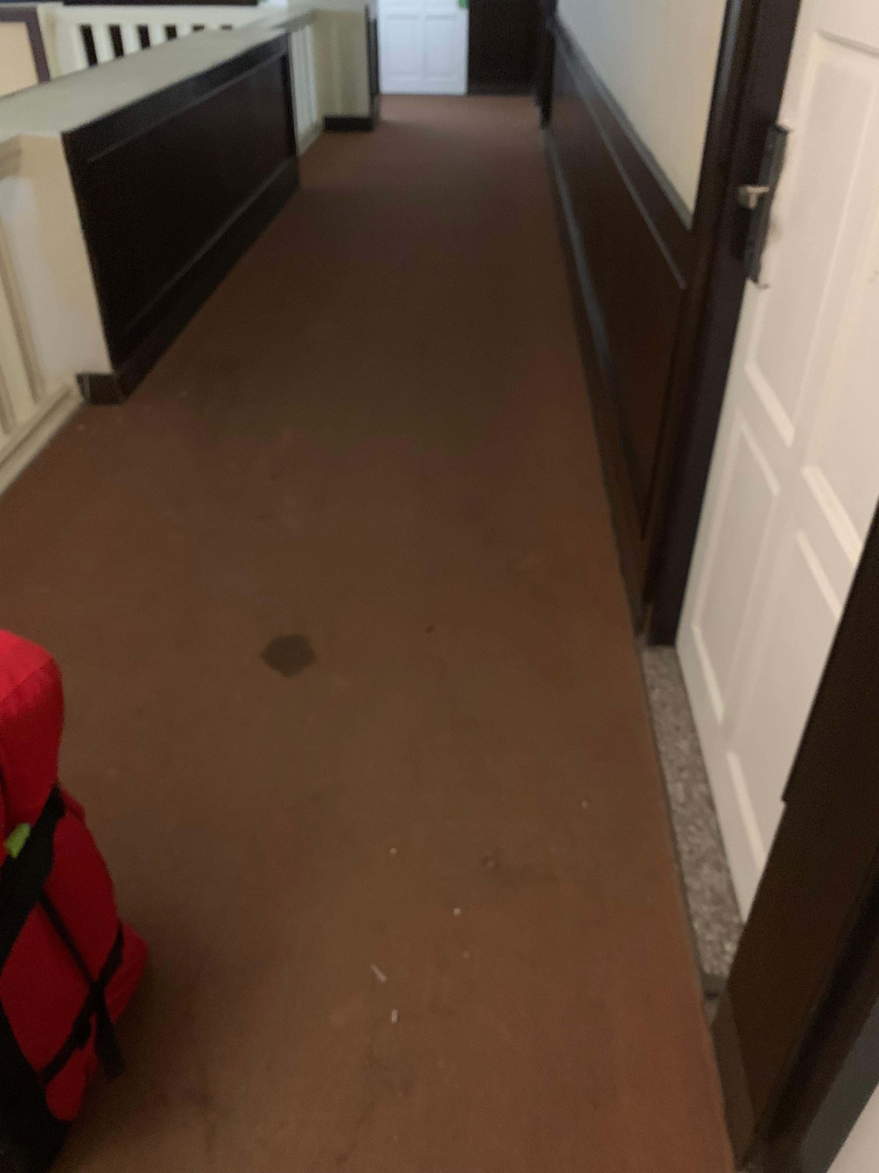 Stained carpets everywhere 