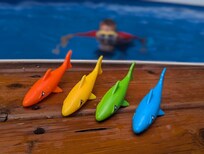 The pool house had loads of floats and pool toys available for use.