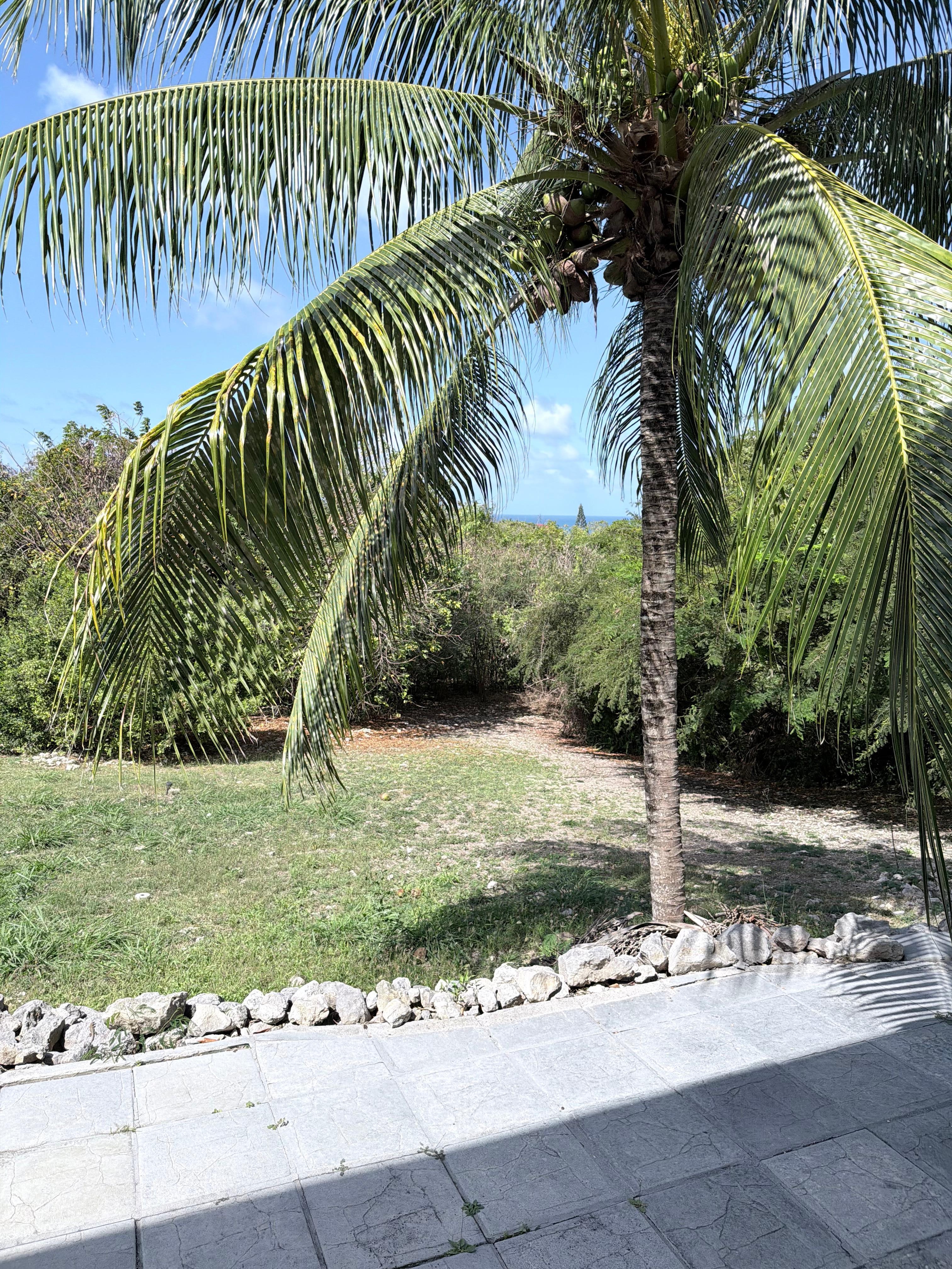 The view from the patio average temperature was 28C 82F