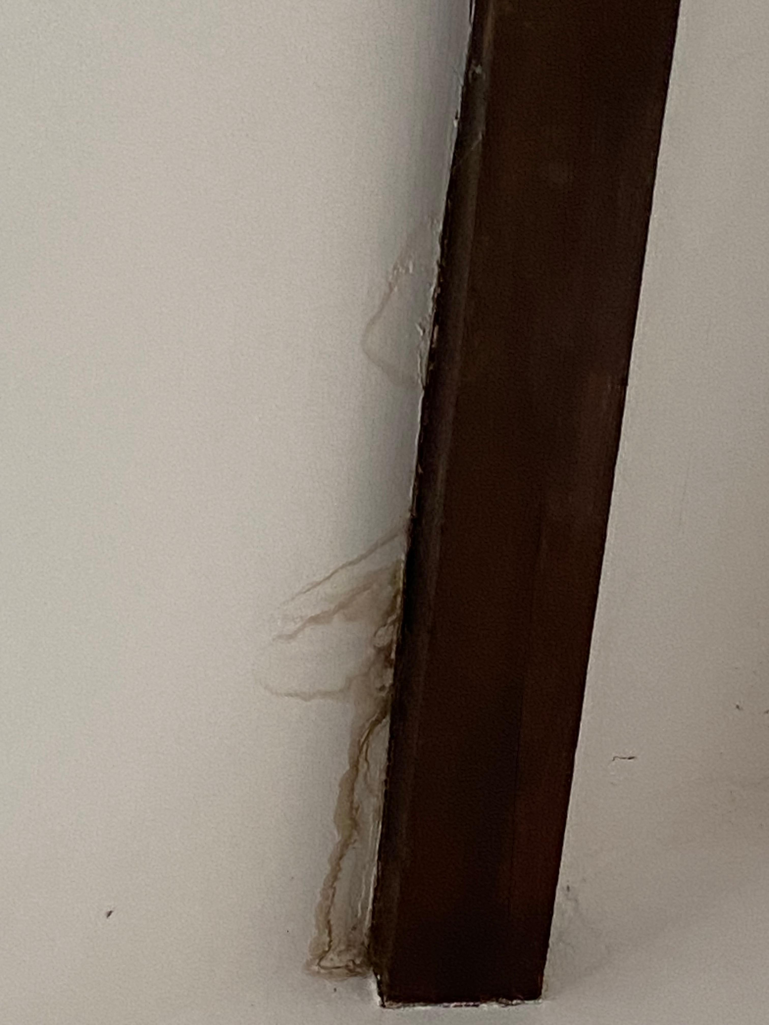 Water damage on ceiling