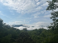 Morning view from back porch while drinking coffee.