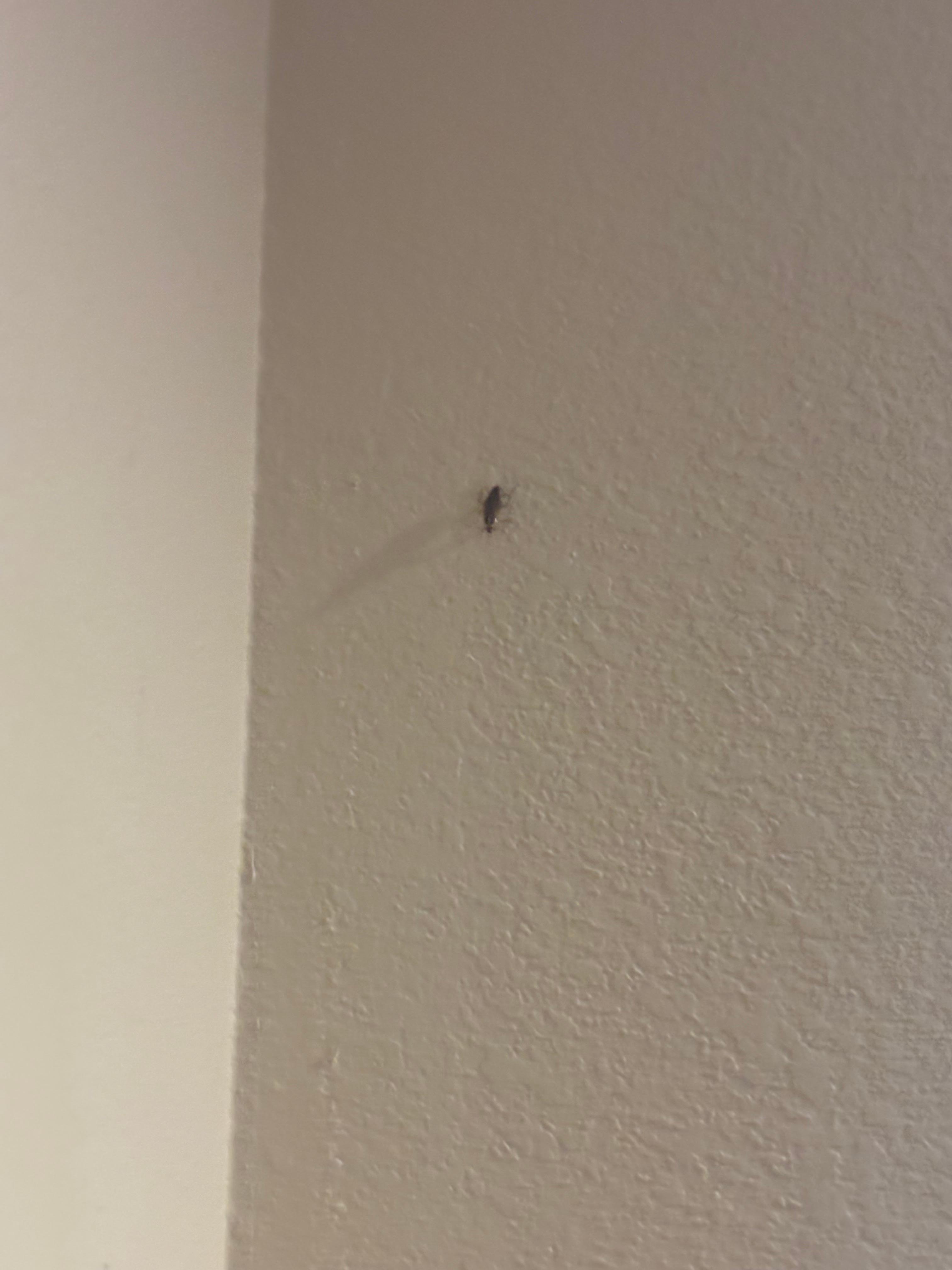 ROACH HOTEL👍🏼!!!!