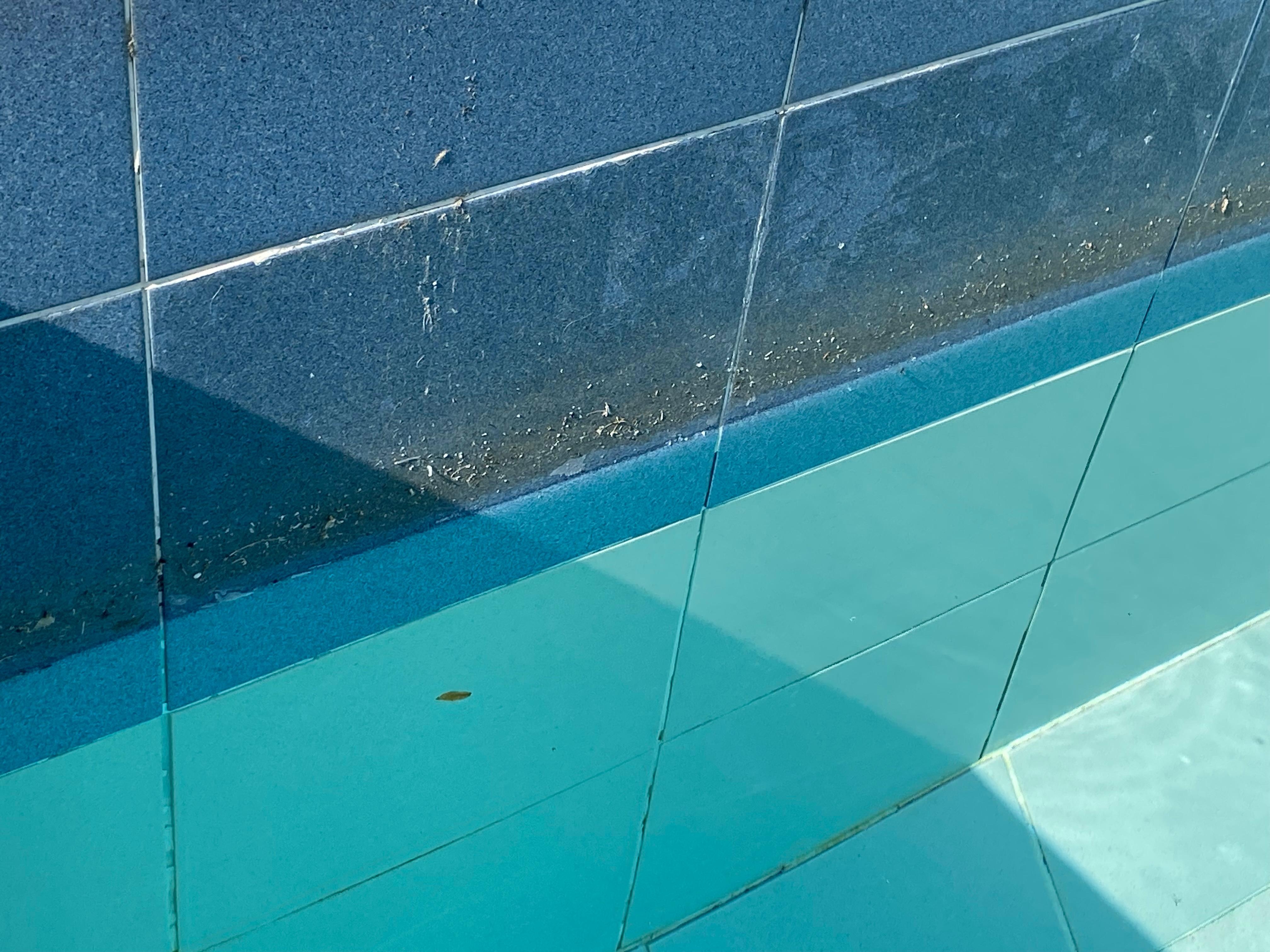 Scum around pool