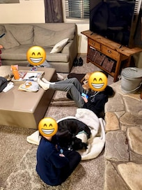 The kids and their dogs