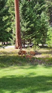 A cute group of neighbors