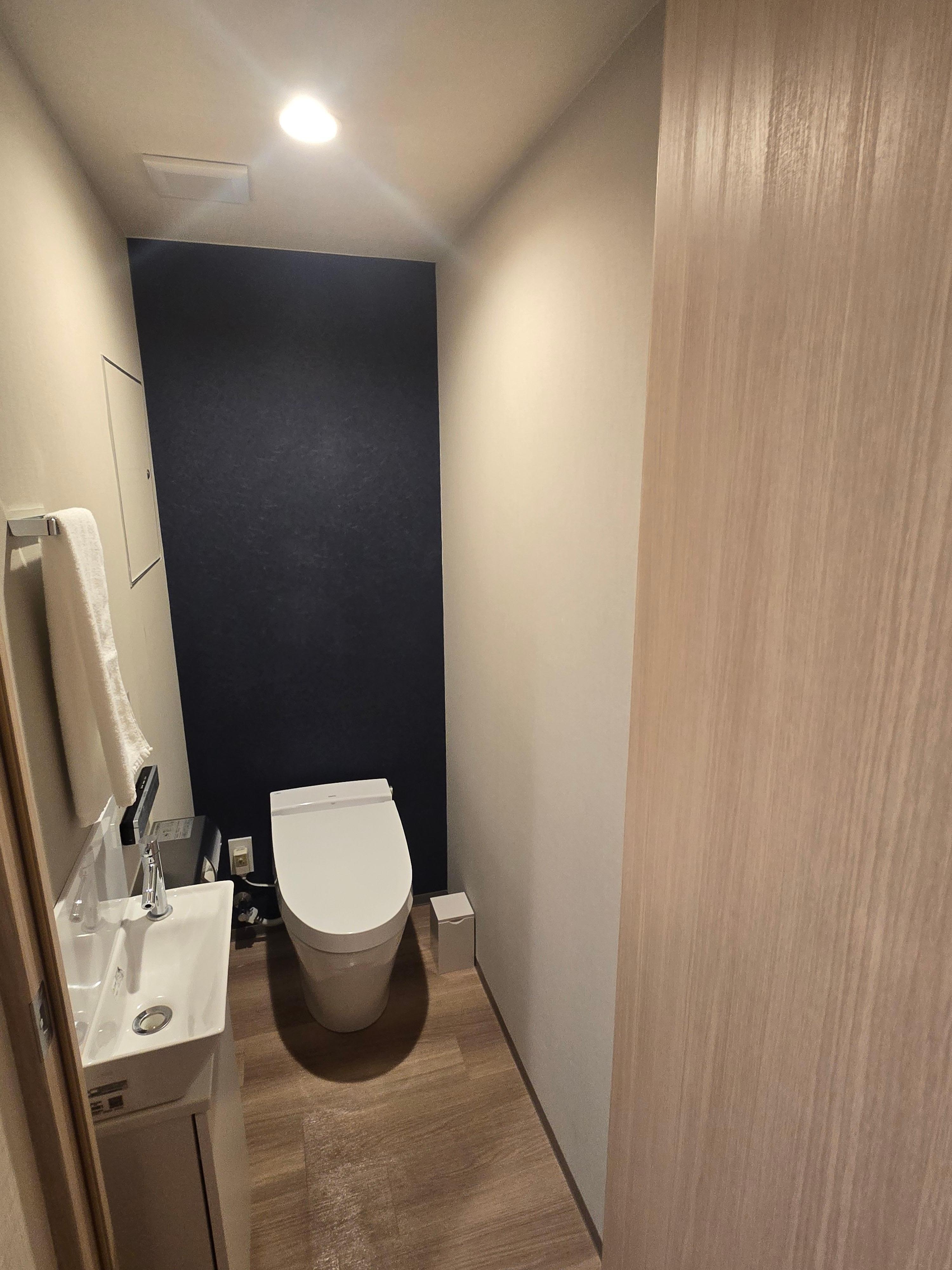 Toilet and 2nd sink.