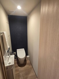 Toilet and 2nd sink.