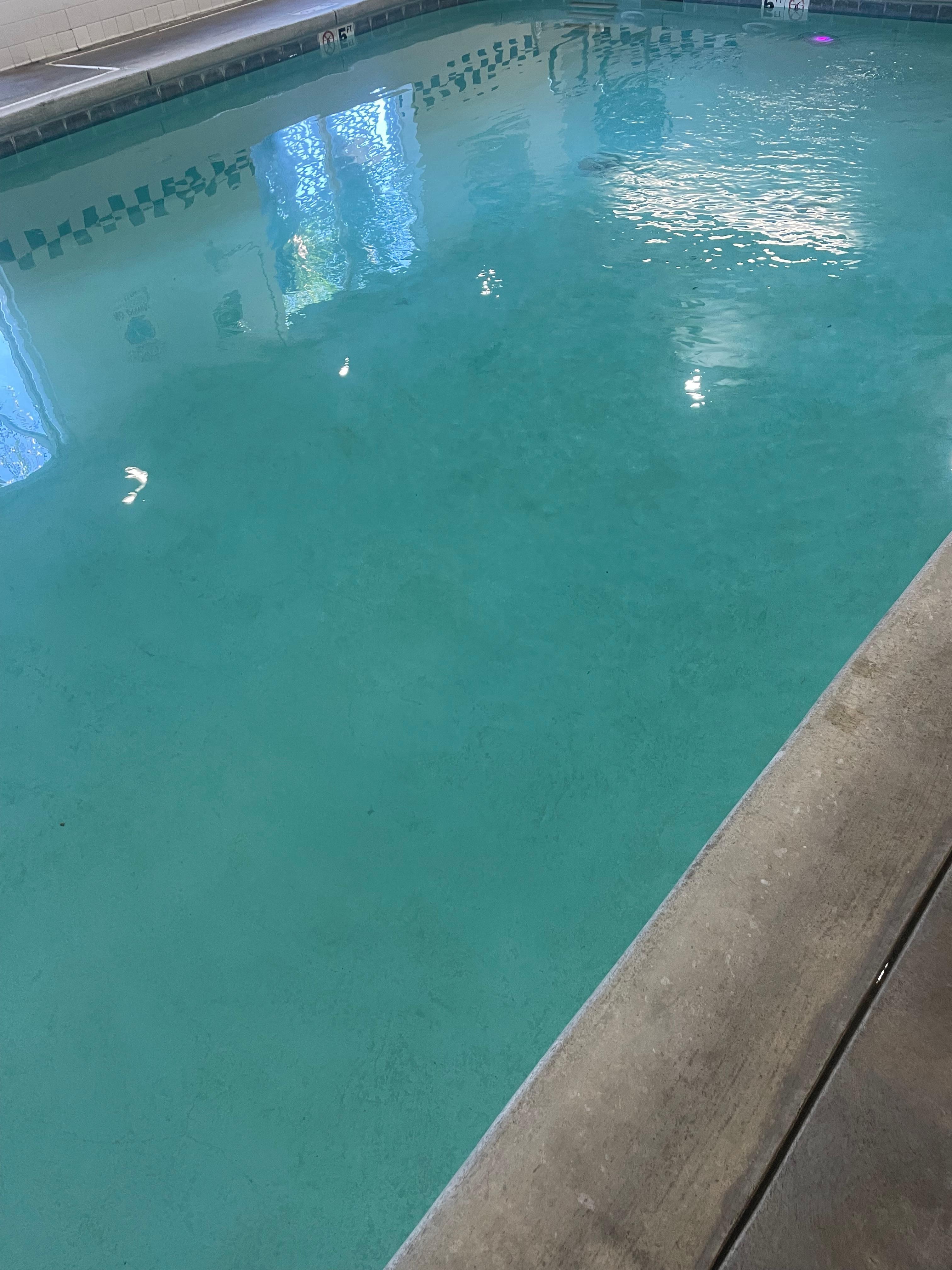 The pool looked like it some algae growing on the bottom giving off a green tinge 