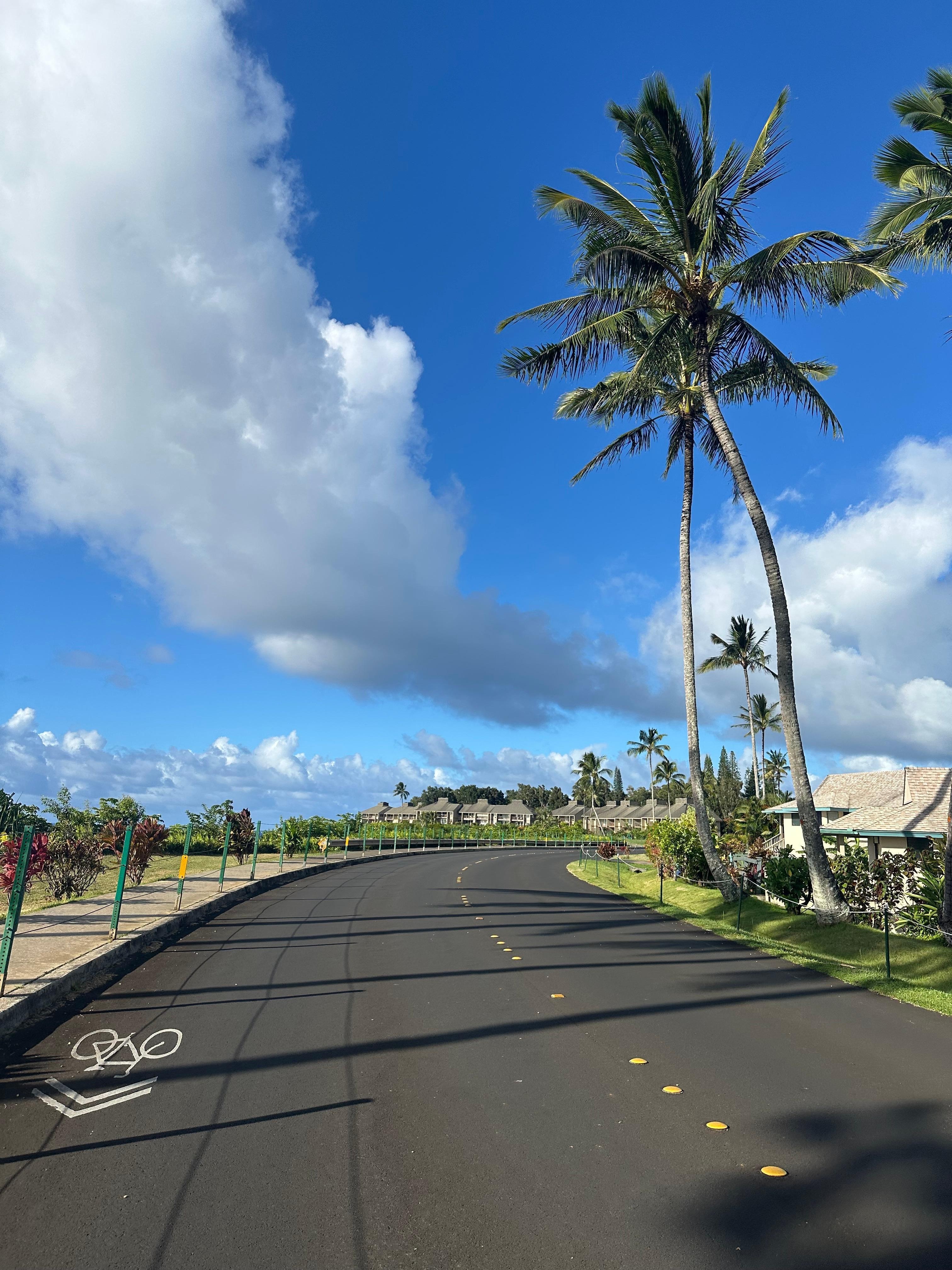 Took this trail daily alll the way up to the highway (foodland, restaurants, shops, coffee, açaí, sandwich shop)