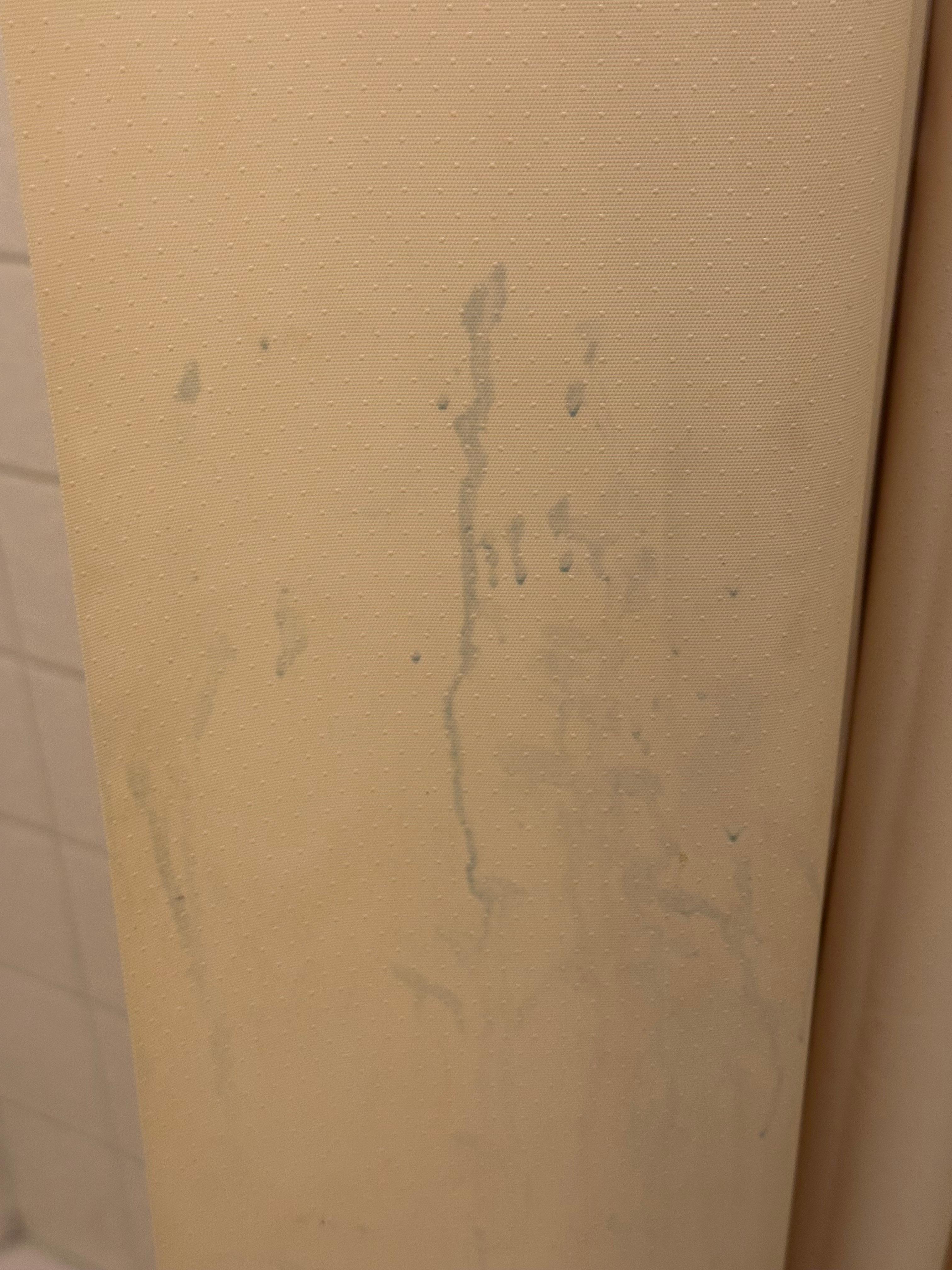 Dirty shower curtain 