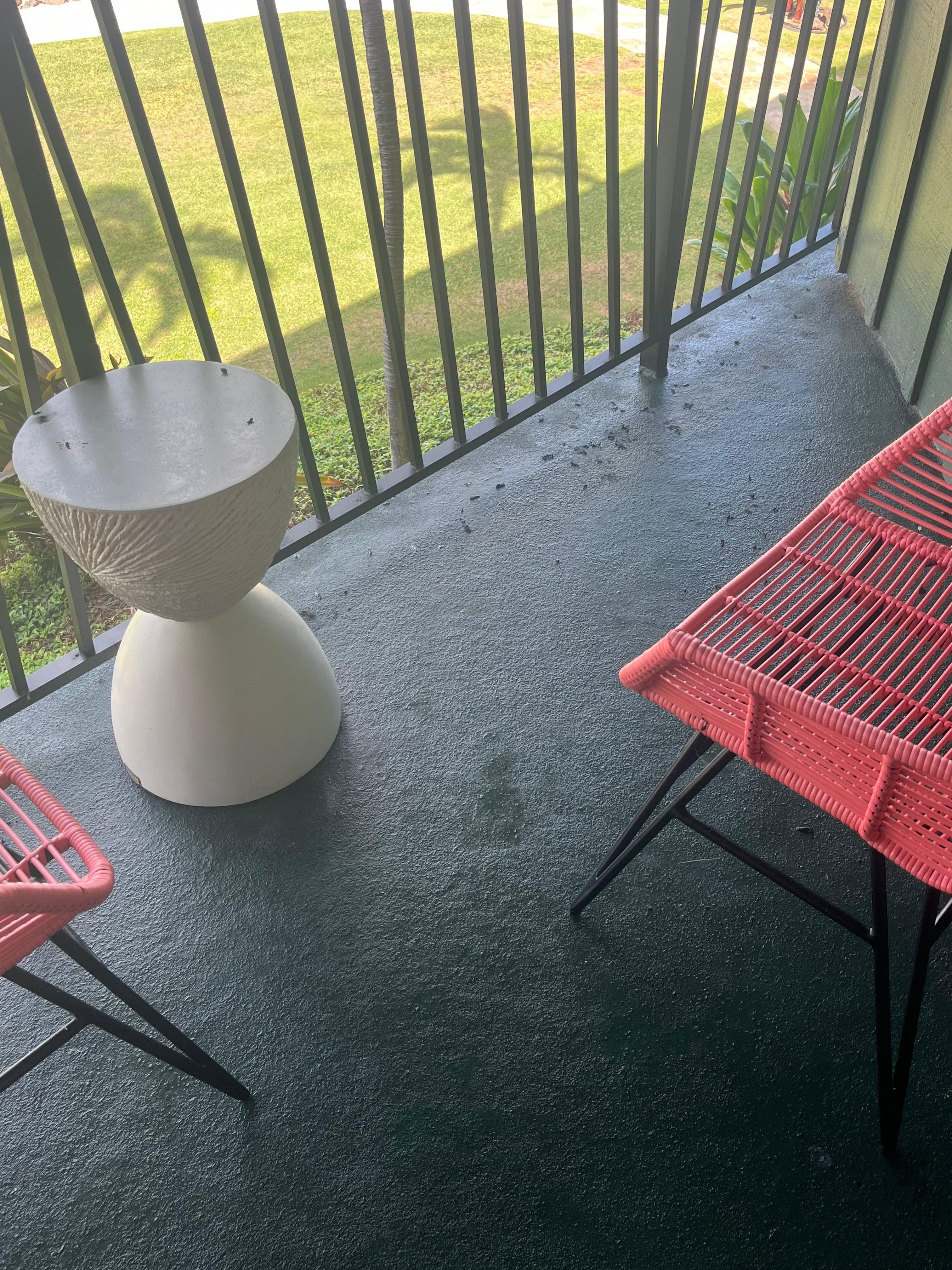 Bird poop on the lanai.