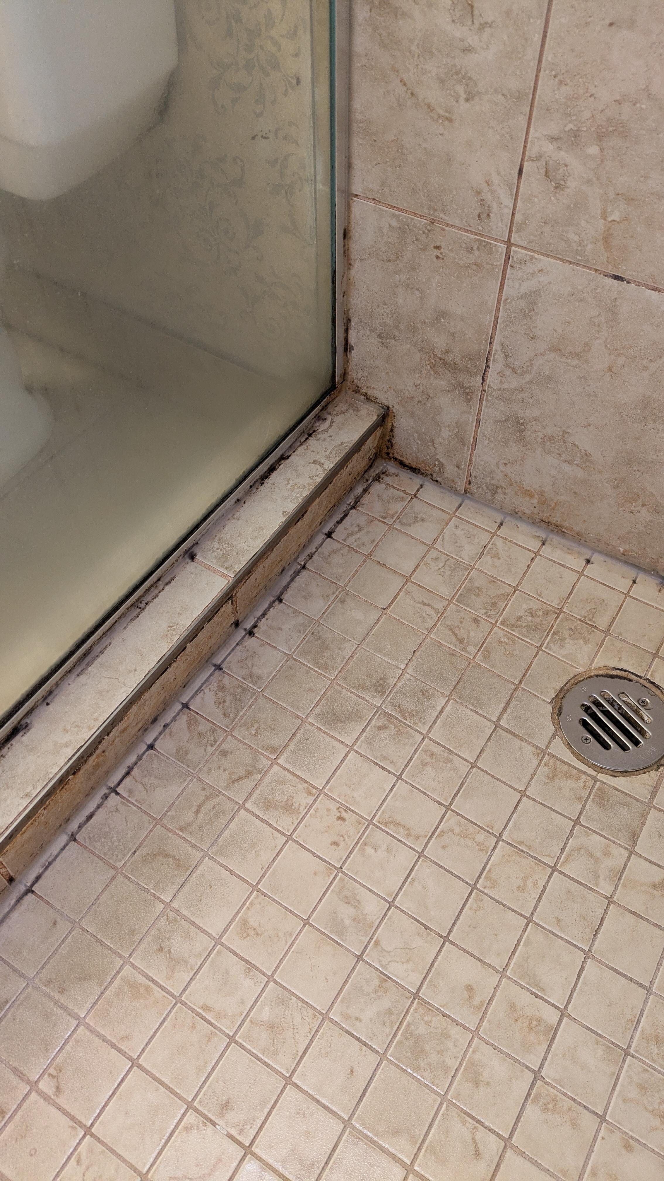 Mold everywhere