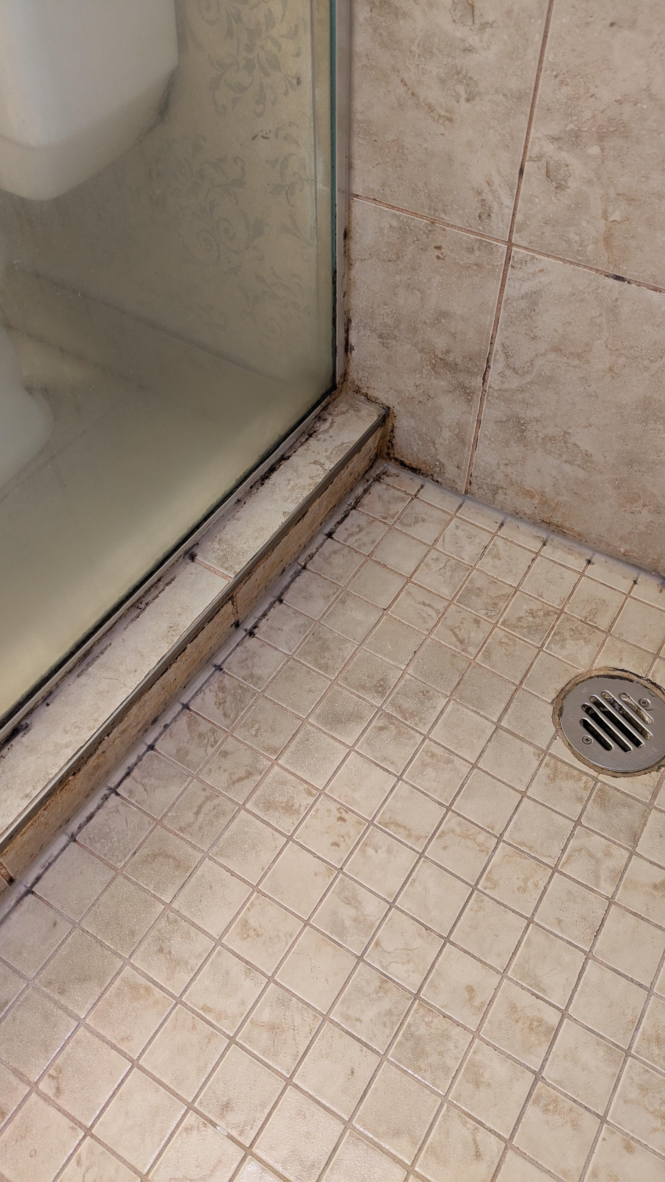 Mold everywhere