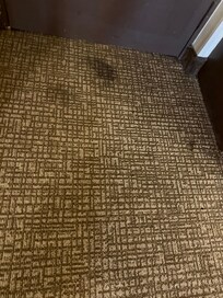 Carpet in room