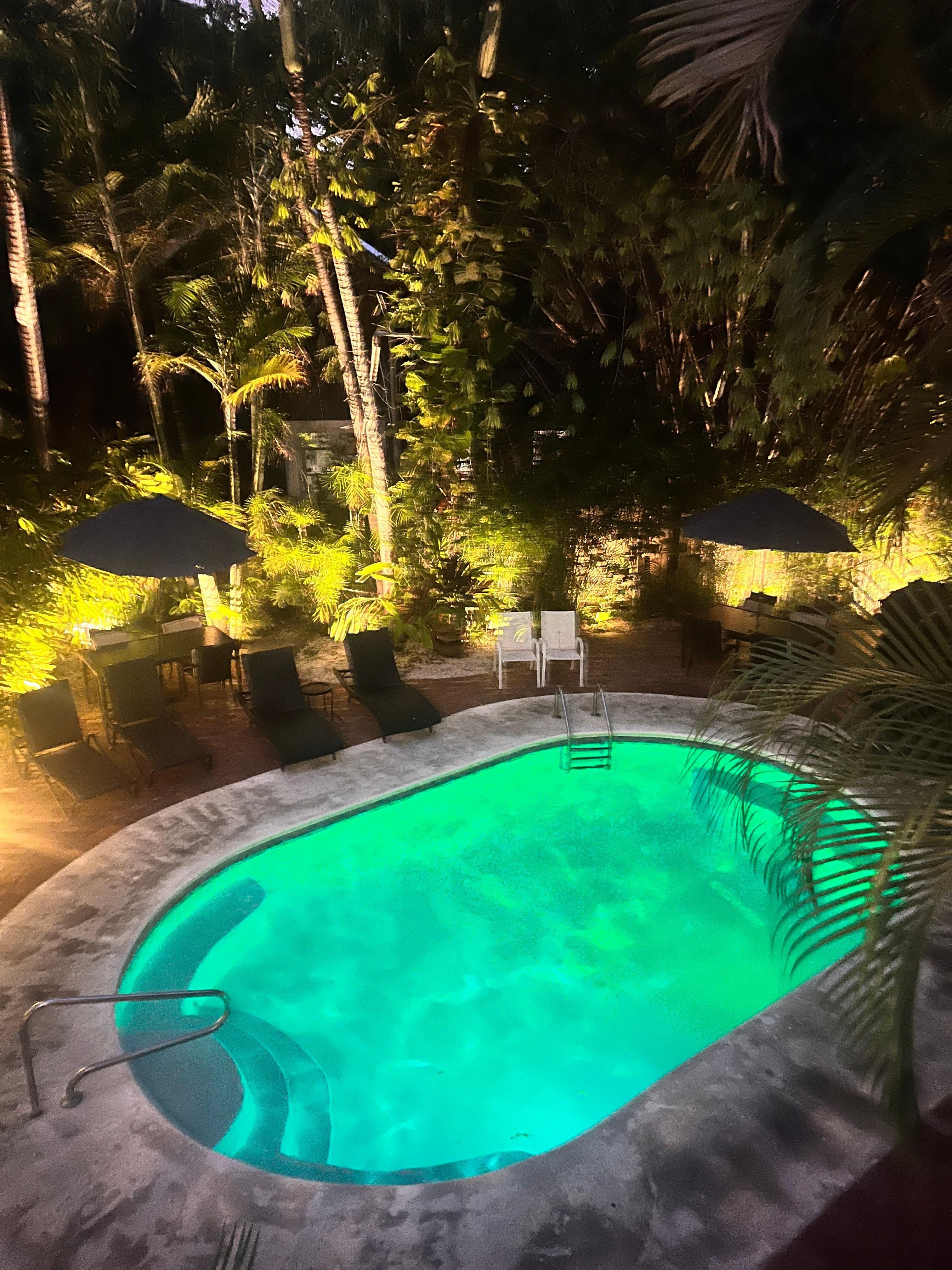 Lovely backyard oasis and pool-view from top balcony