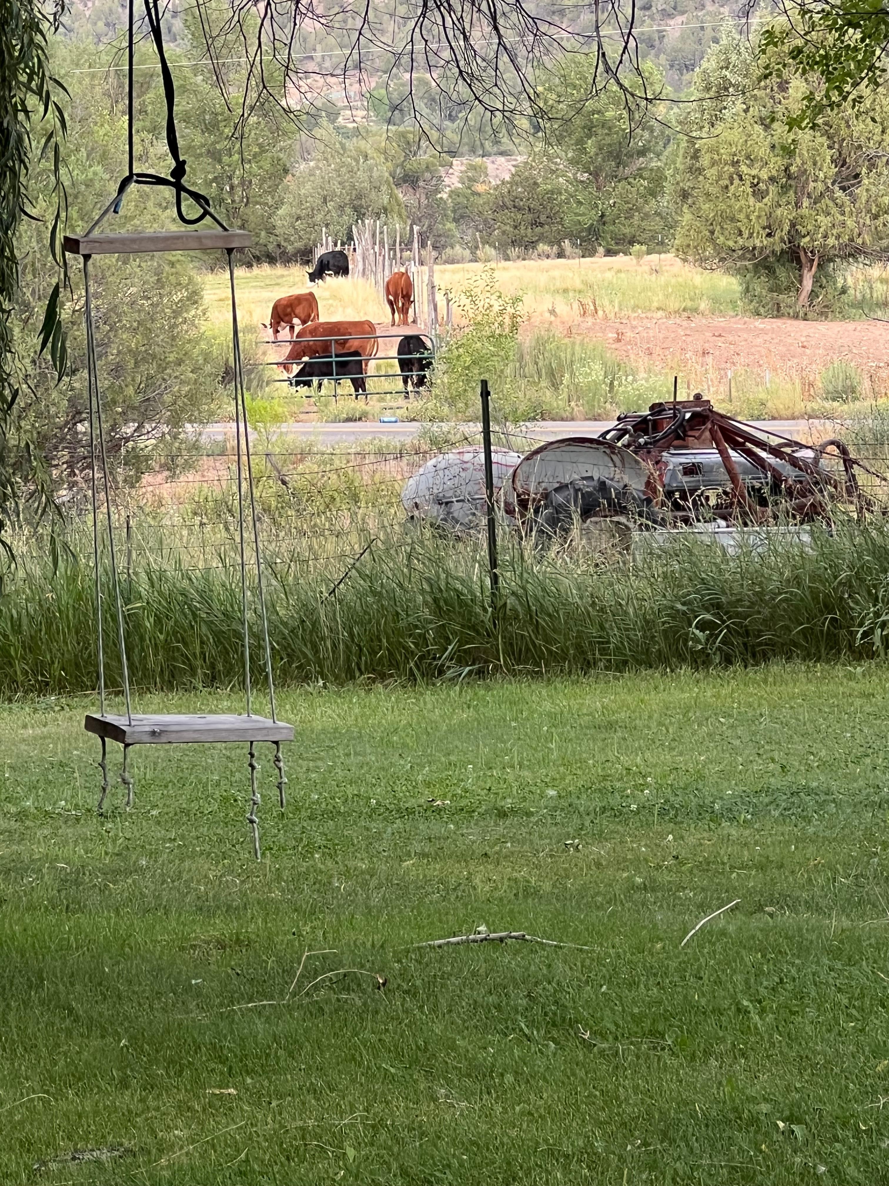 View from front porch