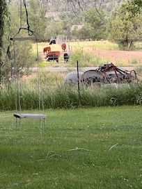 View from front porch