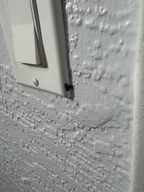 What looked like actual feces on the light switch