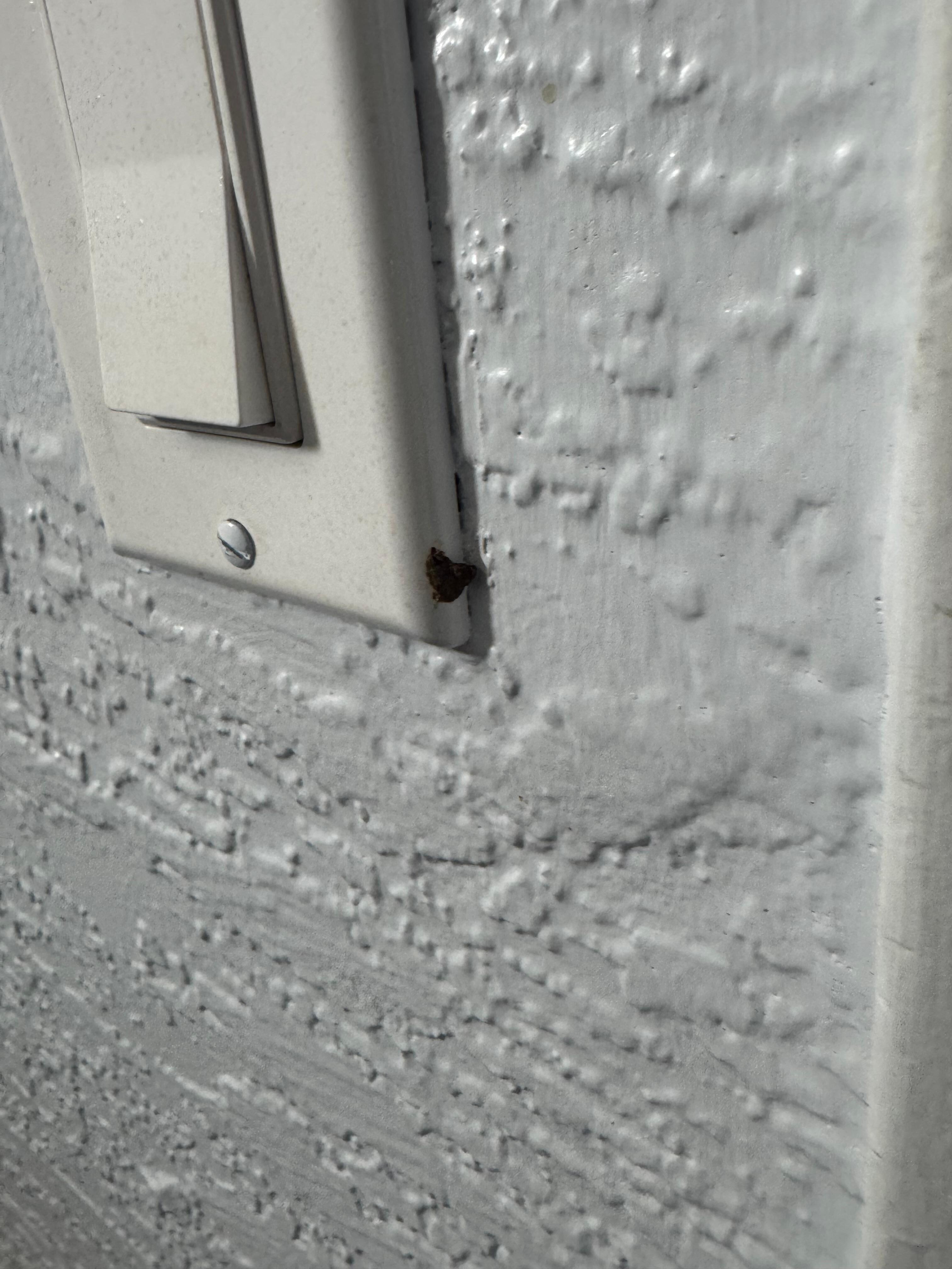 What looked like actual feces on the light switch 