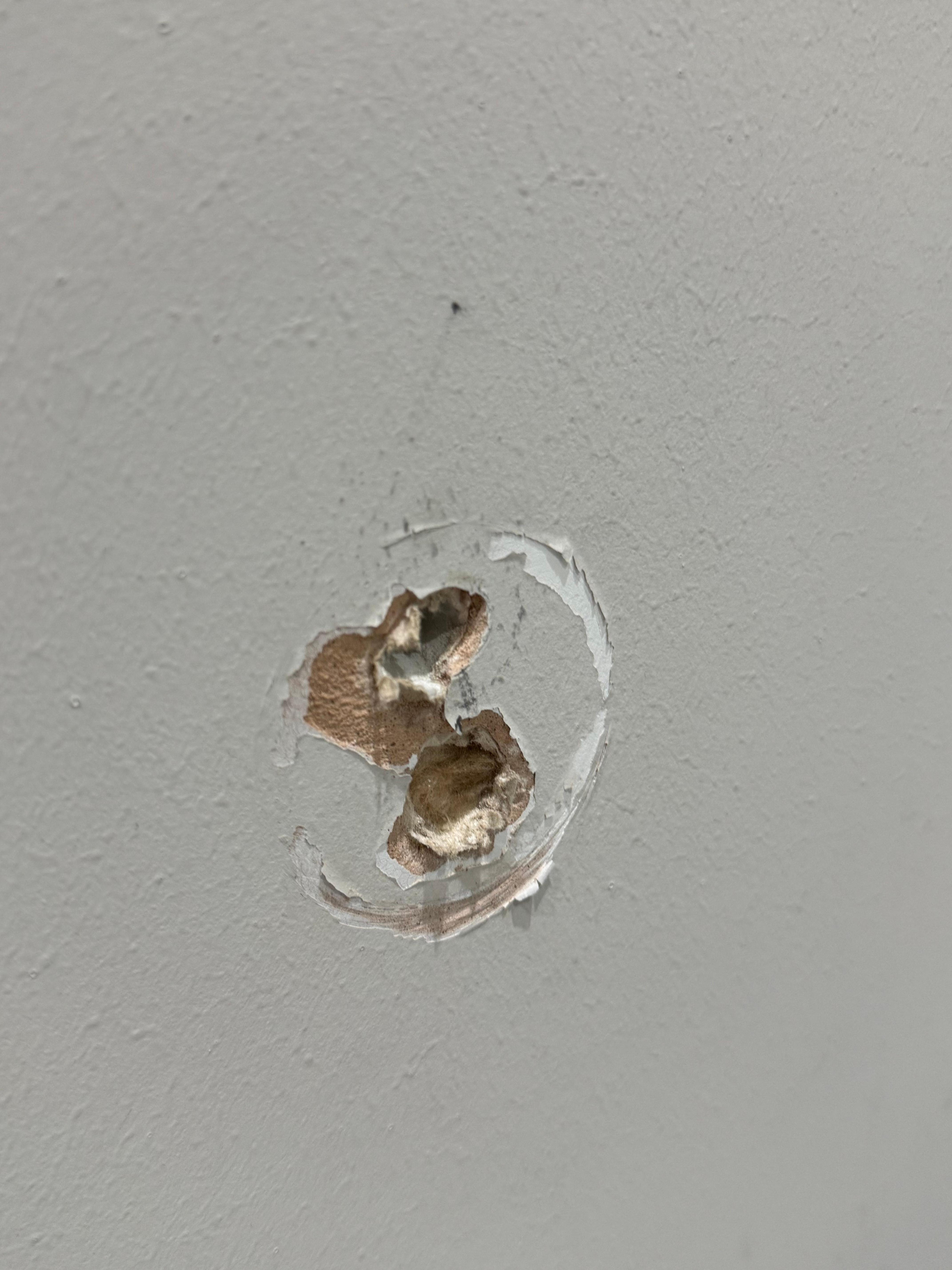 Toilet holder ripped off the wall