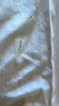 Chocolate and makeup stains on bedsheets from previous guests