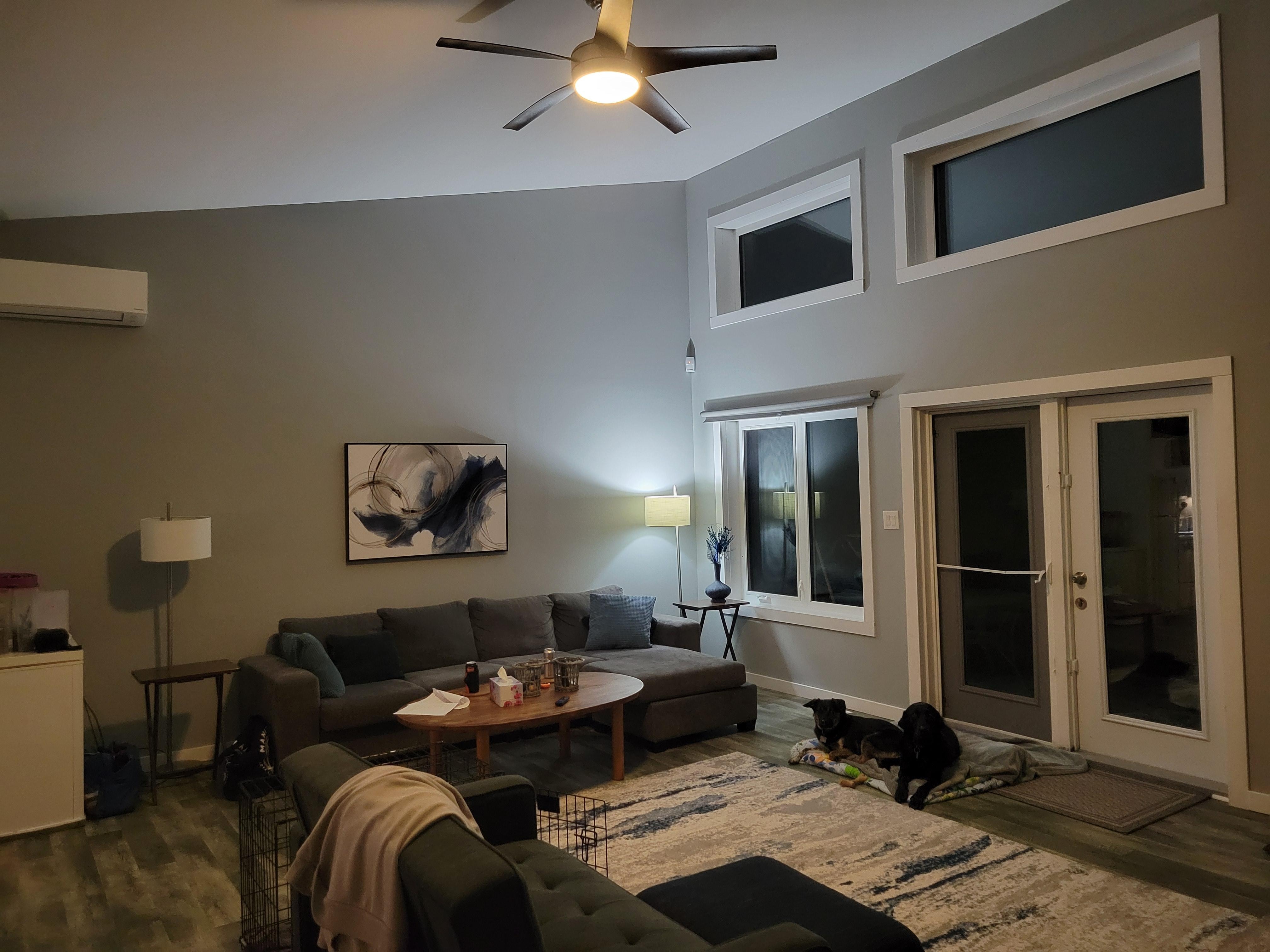 We really appreciated that our booking was pet friendly. Our two dogs had fun.