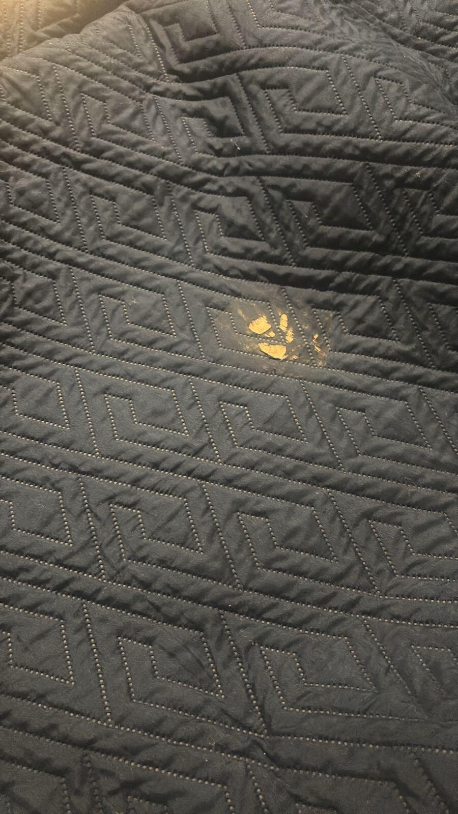 Ropa de cama en malas condiciones al igual que las toallas, estaban manchadas y rotas.