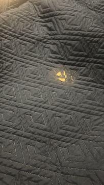 Ropa de cama en malas condiciones al igual que las toallas, estaban manchadas y rotas.