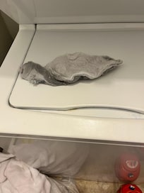 The lint filter was packed with lint