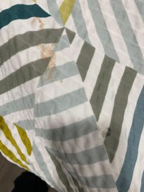 Blood-like stain on the bed.