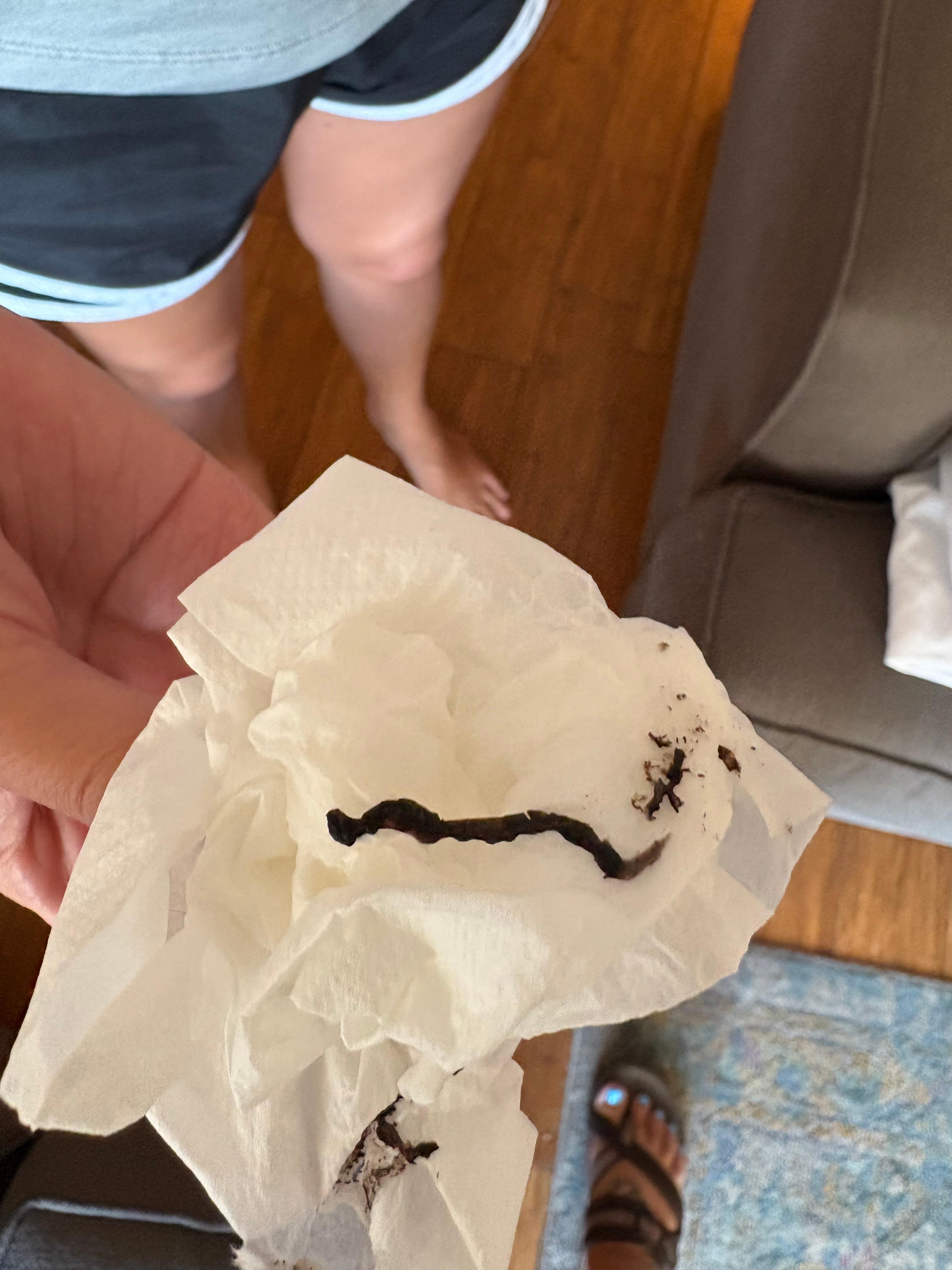 Black mold that came from a sink.