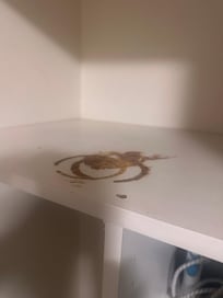 Grime in wardrobe