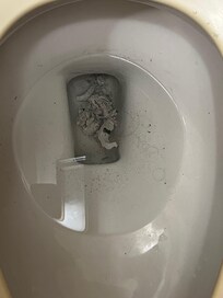 Attempted repair of toilet (plumber's putty in toilet)
