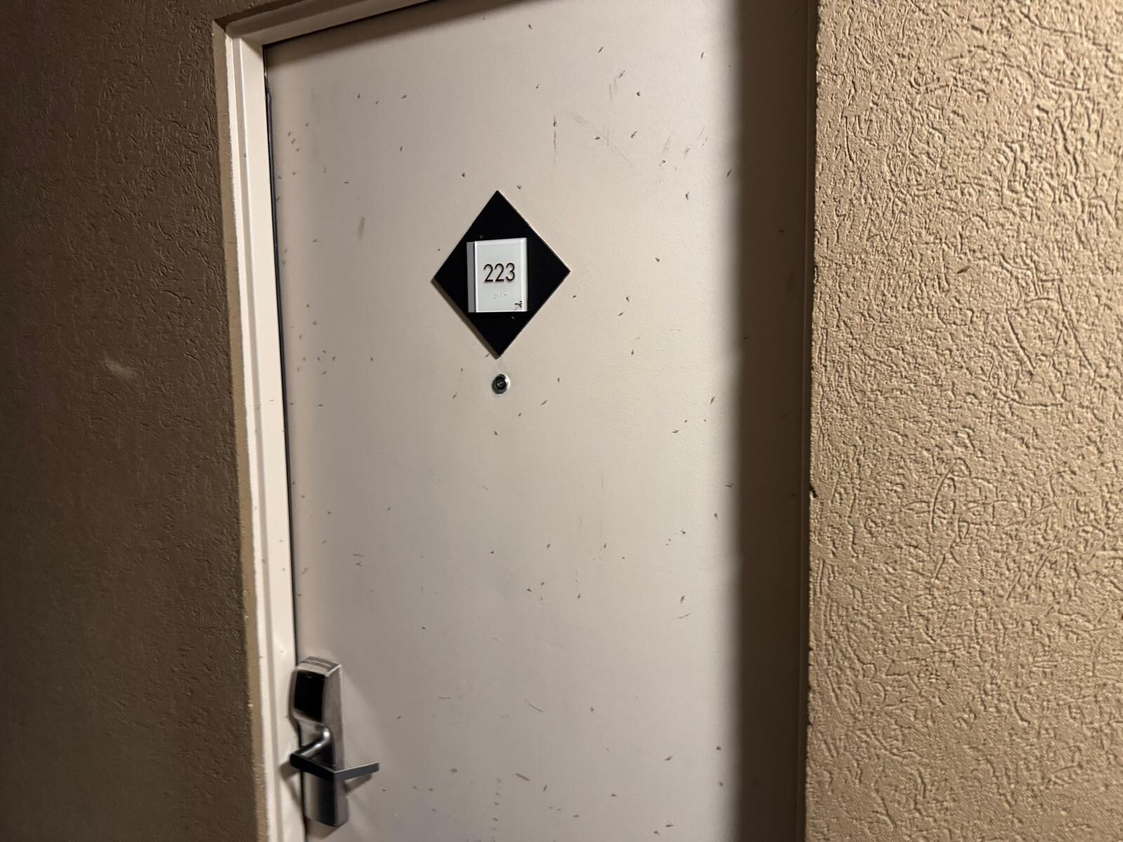 Mosquitos on doors  and even inside