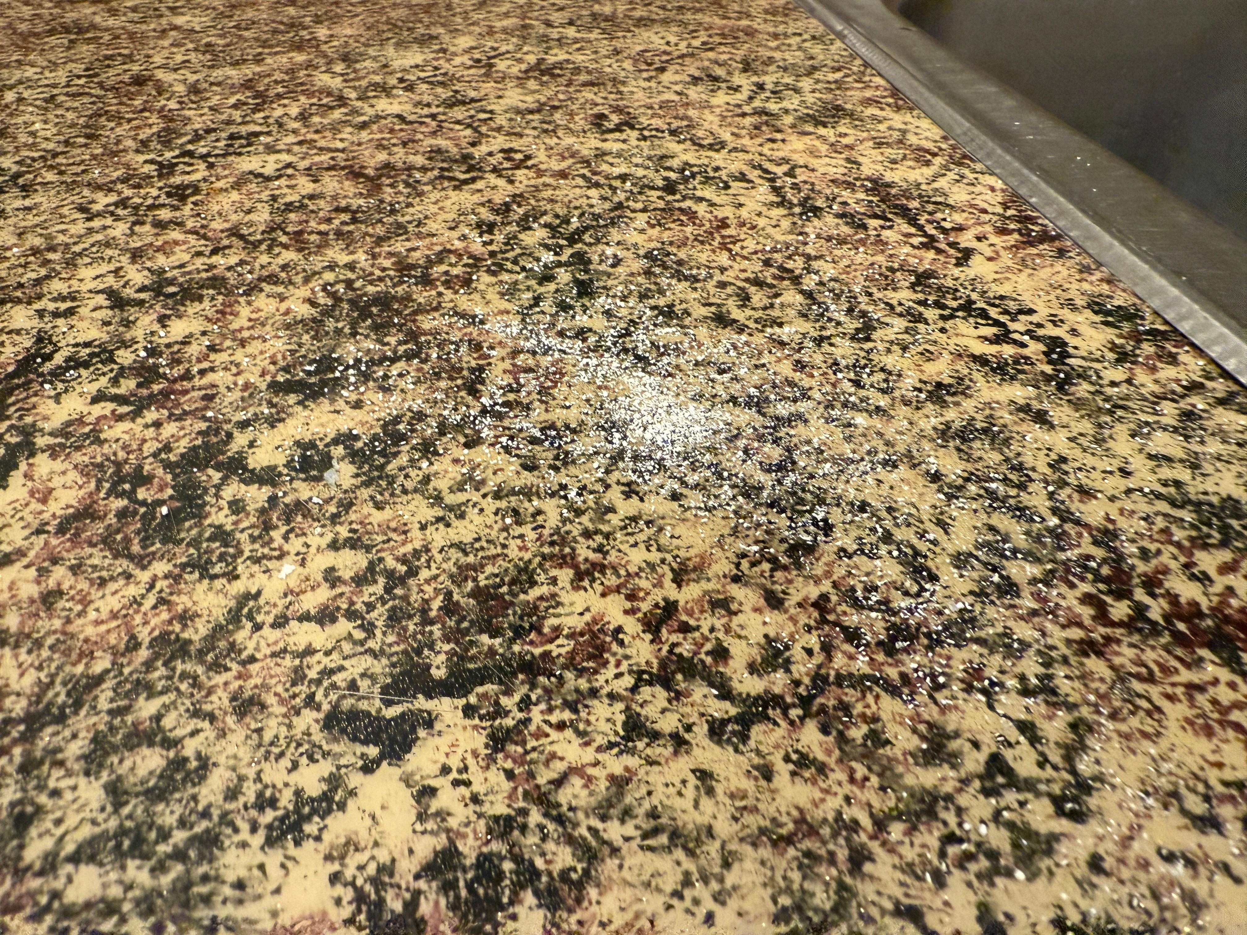 White powder on counters