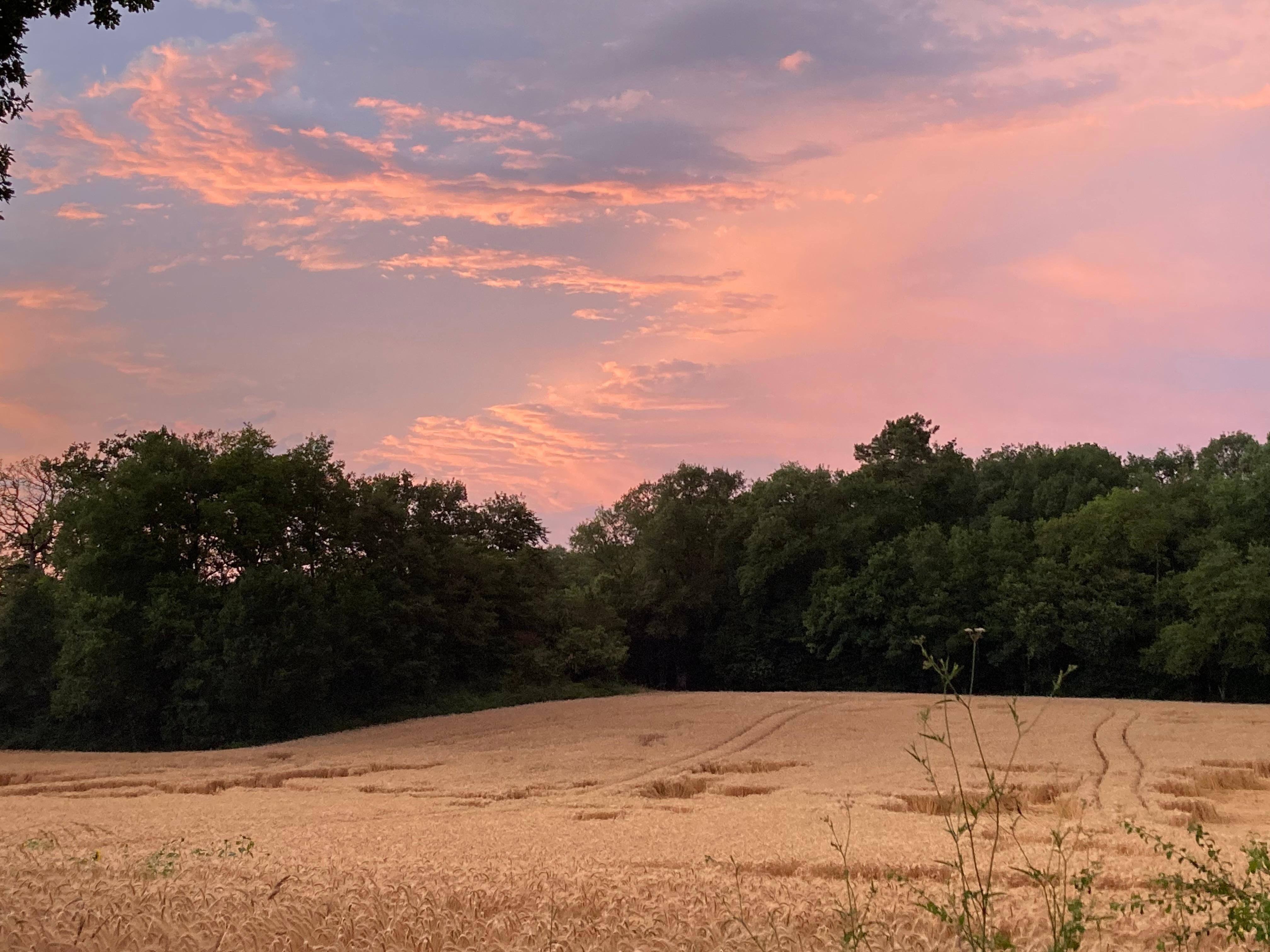 Blick über die Felder bei Perrot