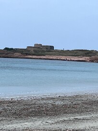 Cobo