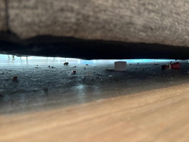 Underneath couch in main living area